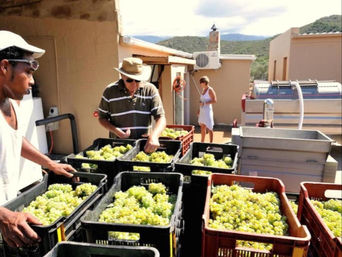 Mymering Wine & Guest Estate Ladismith Exterior photo